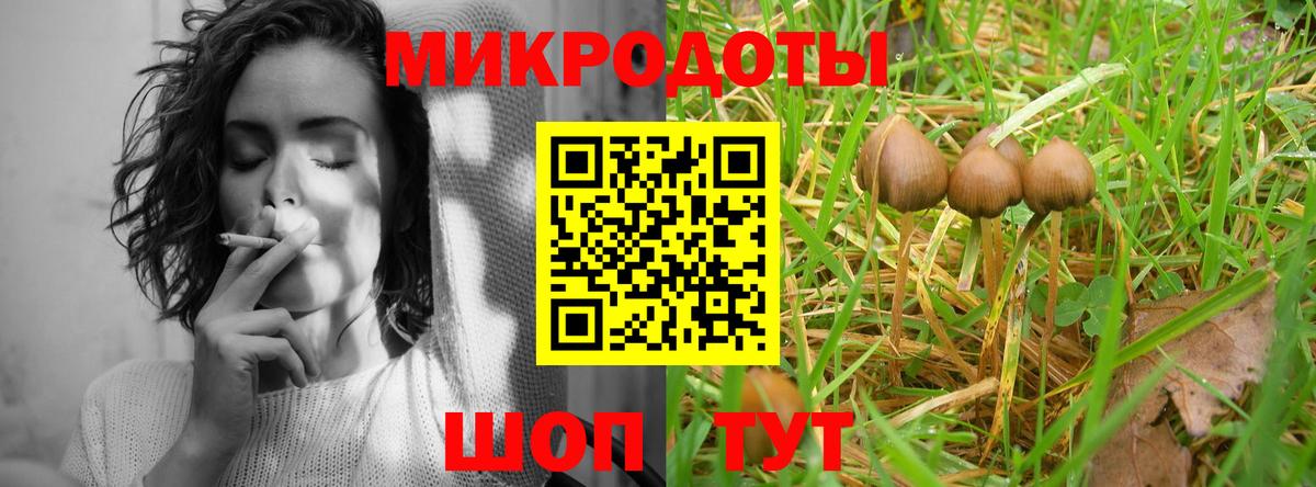 Псилоцибиновые грибы GOLDEN TEACHER Долгопрудный