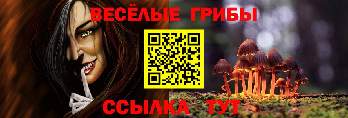 Псилоцибиновые грибы мицелий  Вход с VPN  Долгопрудный  Псилоцибиновые грибы GOLDEN TEACHER 